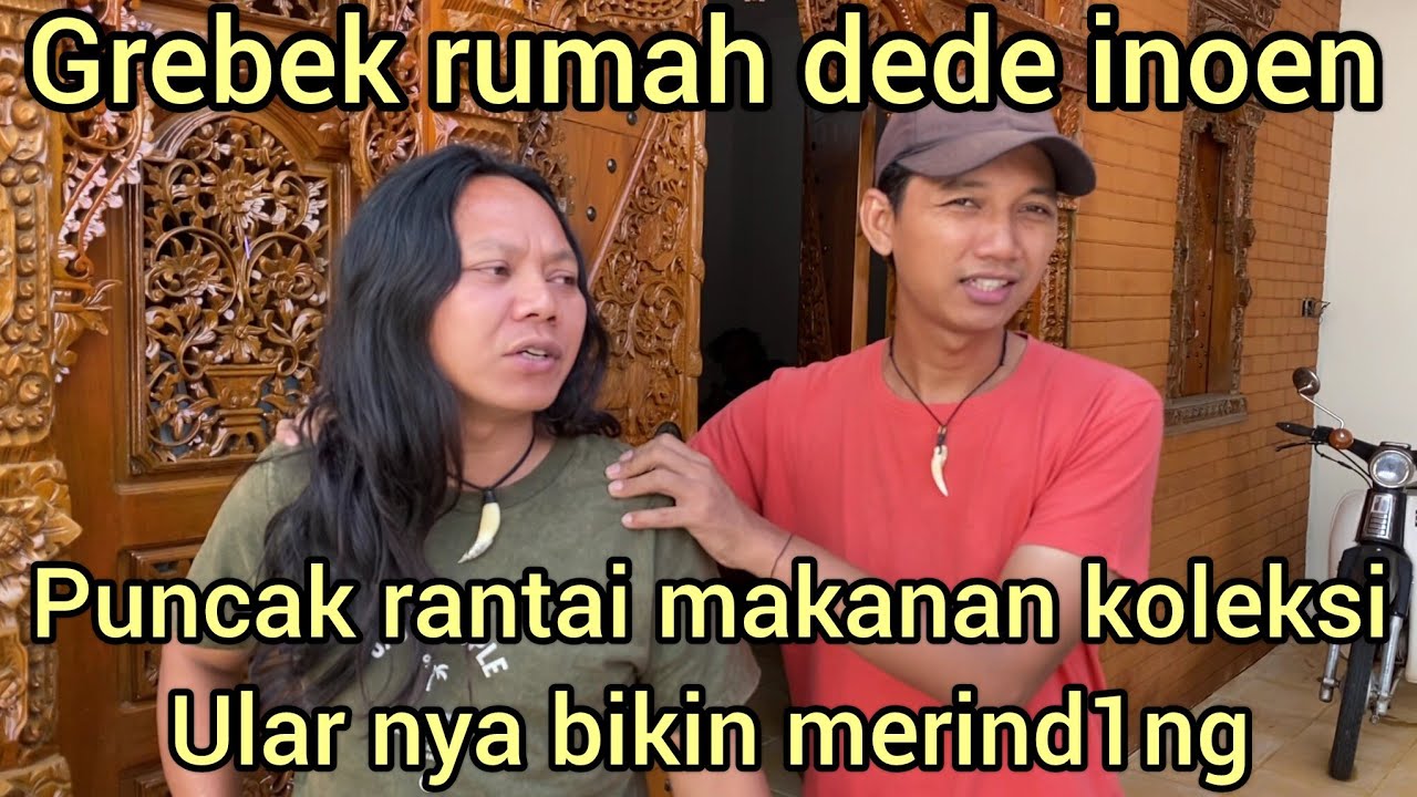 GREBEK RUMAH DEDE INOEN PUNCAK RANTAI MAKANAN KOLEKSI ULAR NYA BIKIN MERIND1NG