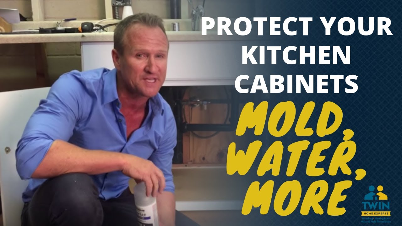 Protect Your Kitchen Cabinets From Water Damage, Mold and Musty Odors