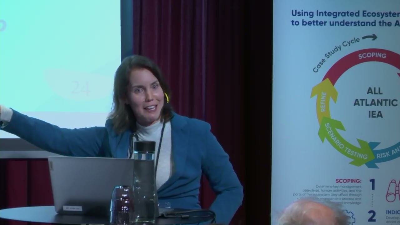 KEYNOTE: Integrated Ecosystem Assessment at Multiple Scale: spatialisation in EBM