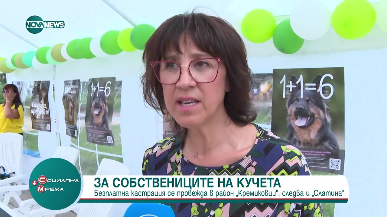 Кампания обяснява защо е важно да кастрираме кучетата си? - Социална мрежа (19.07.2023)