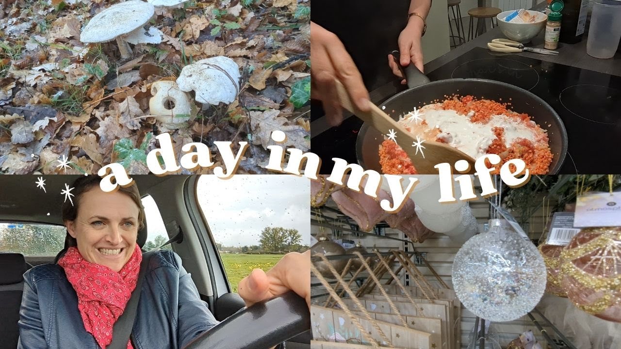 VLOG - mercredi ordinaire / maman taxi, balade automnale, Go Student, haul beauté, Noël, cuisine...