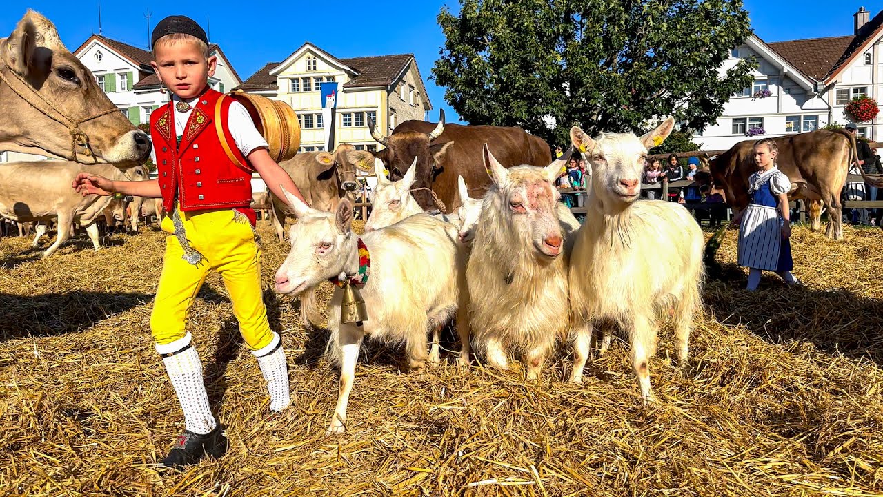 [Part 1] Cattle Show Stein 2023 | Processions, Sennen Yodeling & Fairground – Appenzellerland