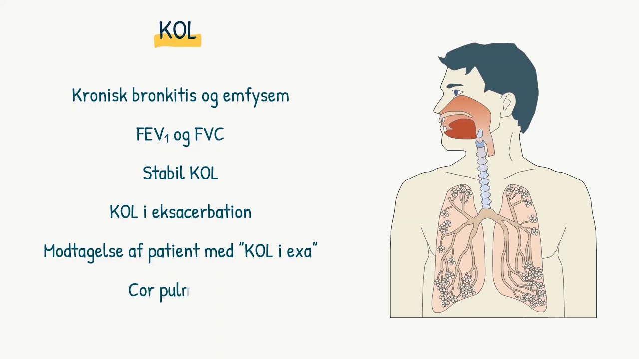 Respirationssystemet: KOL