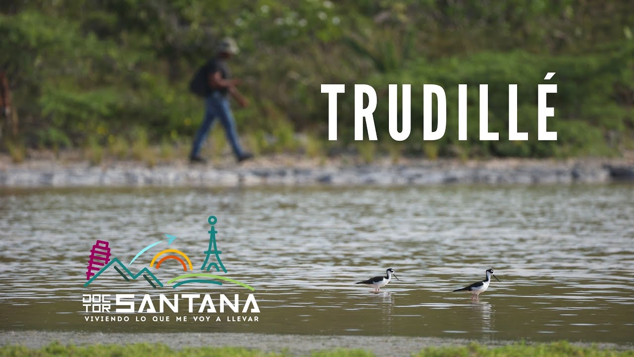 TRUDILLE (PEDERNALES)