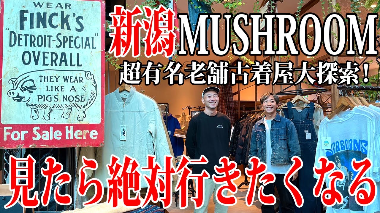 【超名店】超有名店だけどみんなが知らない情報も!?マッシュルームに潜入!!