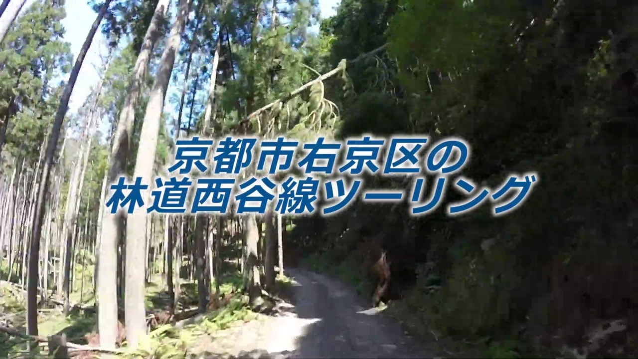 瀬郎がトコトコ行く！ 京都市右京区の林道西谷線ツーリング