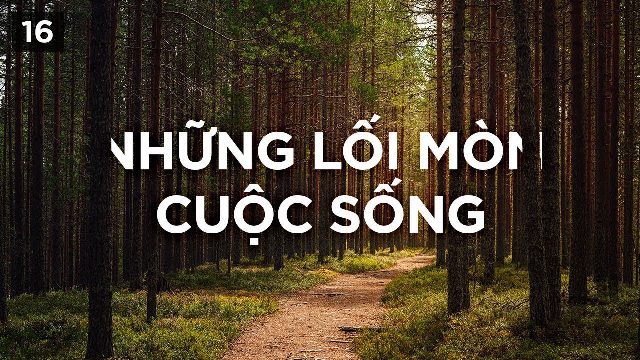 Những lối mòn cuộc sống