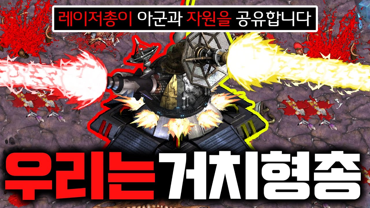 [랜능크] 