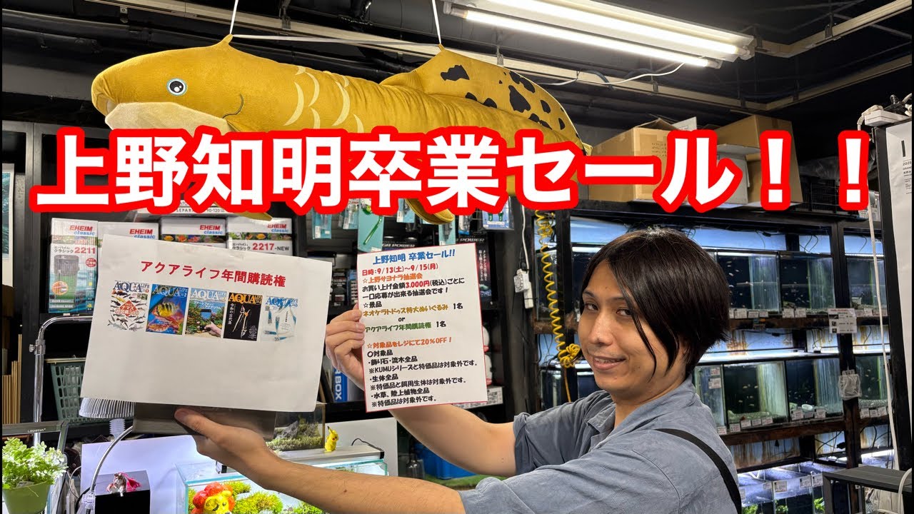 上野知明卒業セール！