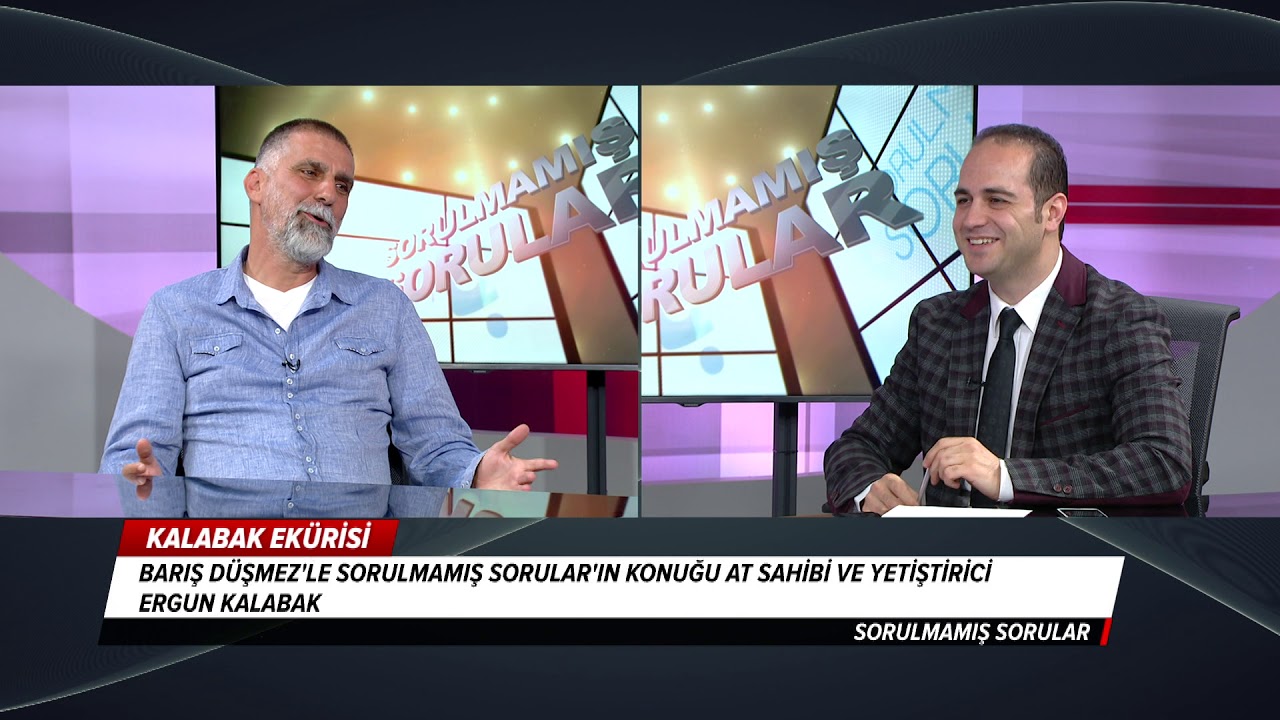 Sorulmamış Sorular (Ergun Kalabak)