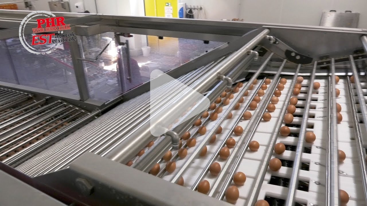 Bureland : une unité de conditionnement ultra-robotisée
