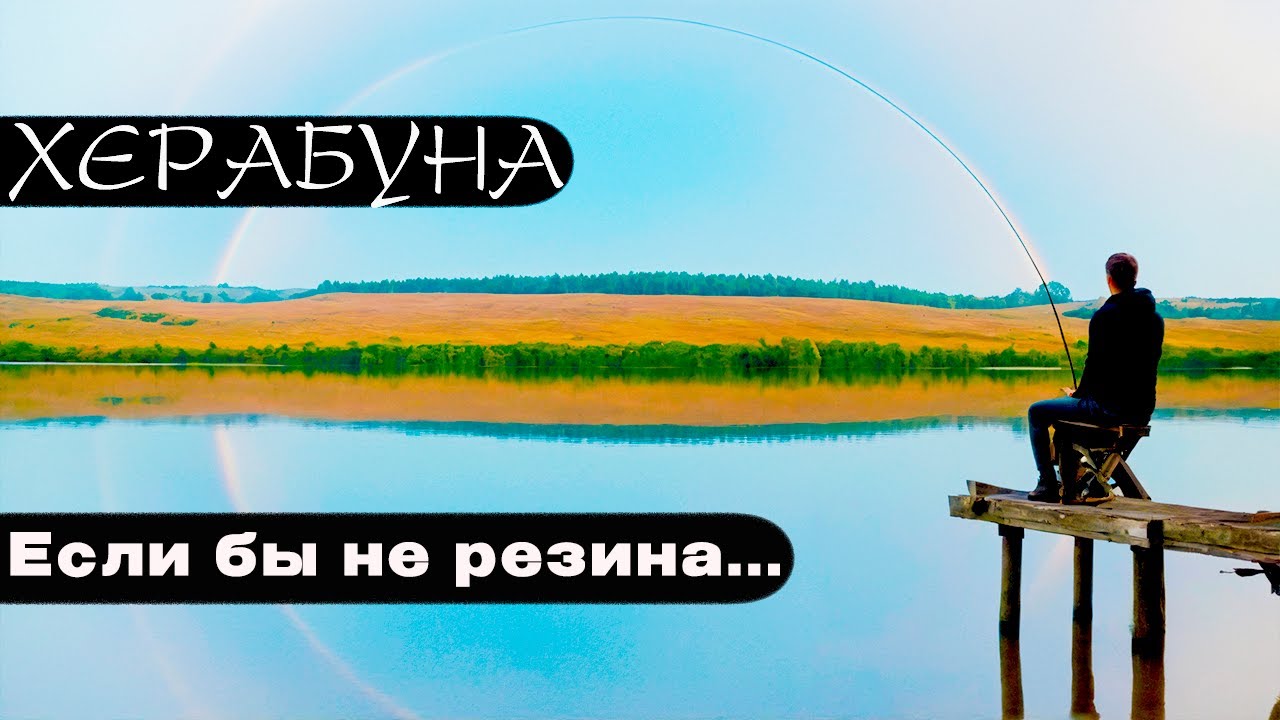 ОНИ воруют удочки! Тесто против прикормки.