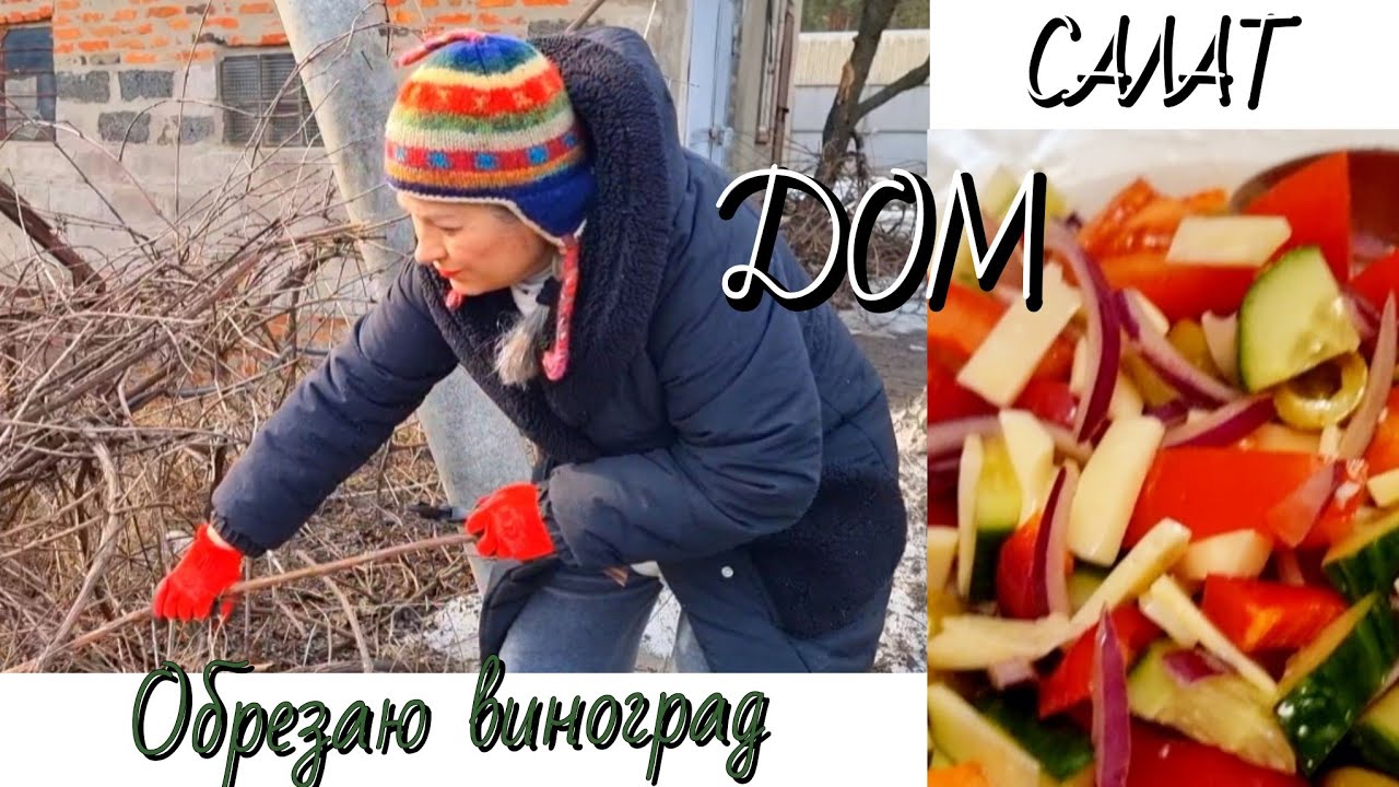 8. Харьков/Змиёв.ОБРЕЗАЮ ВИНОГРАД! ВКУСНЫЙ САЛАТИК ЗА ТРУДЫ!