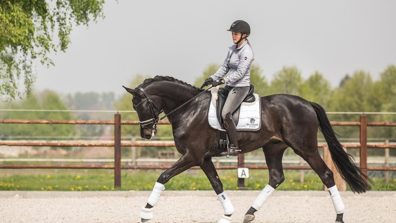Tempocontrole en aanleuning - Anne & Lotte Meulendijks