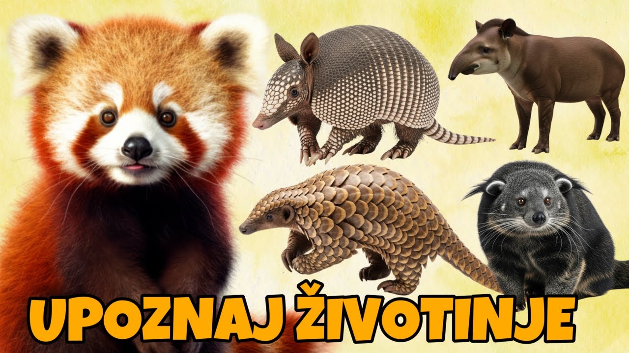 Upoznaj neobične životinje i njihove zvuke! | Životinje za decu | Zabavan edukativni video za decu