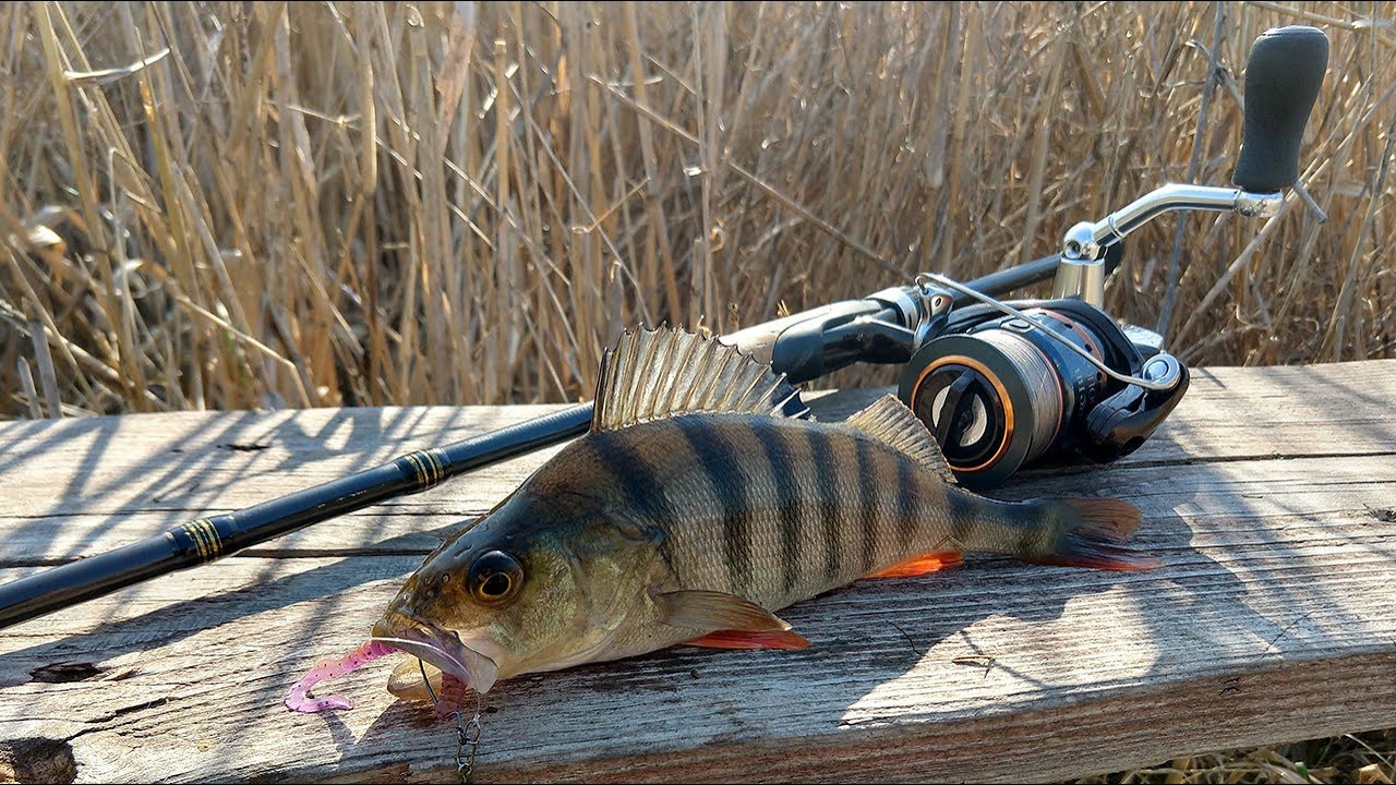 Ловля окуня летом в жаркий полдень! Crazy Fish Arion 742-uls, 