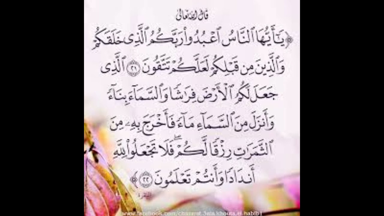 استخراج الاحكام  ورش عن نافع