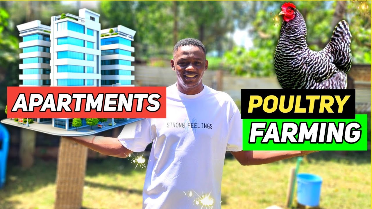 Real Estate VS Poultry Farming Which One Is More PROFITABLE