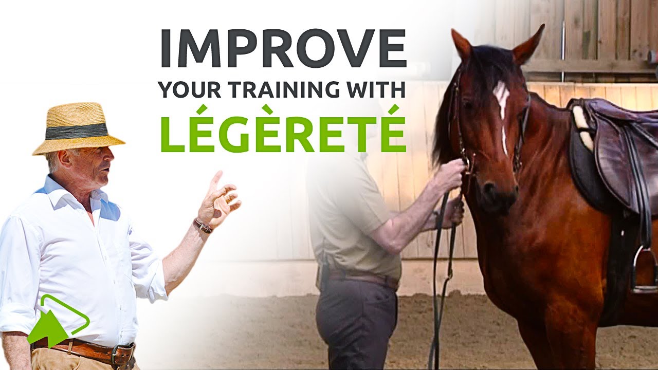 How Rider's Hands and Seat Influence Lateral Work | Lessons with the Philippe Karl | wehorse