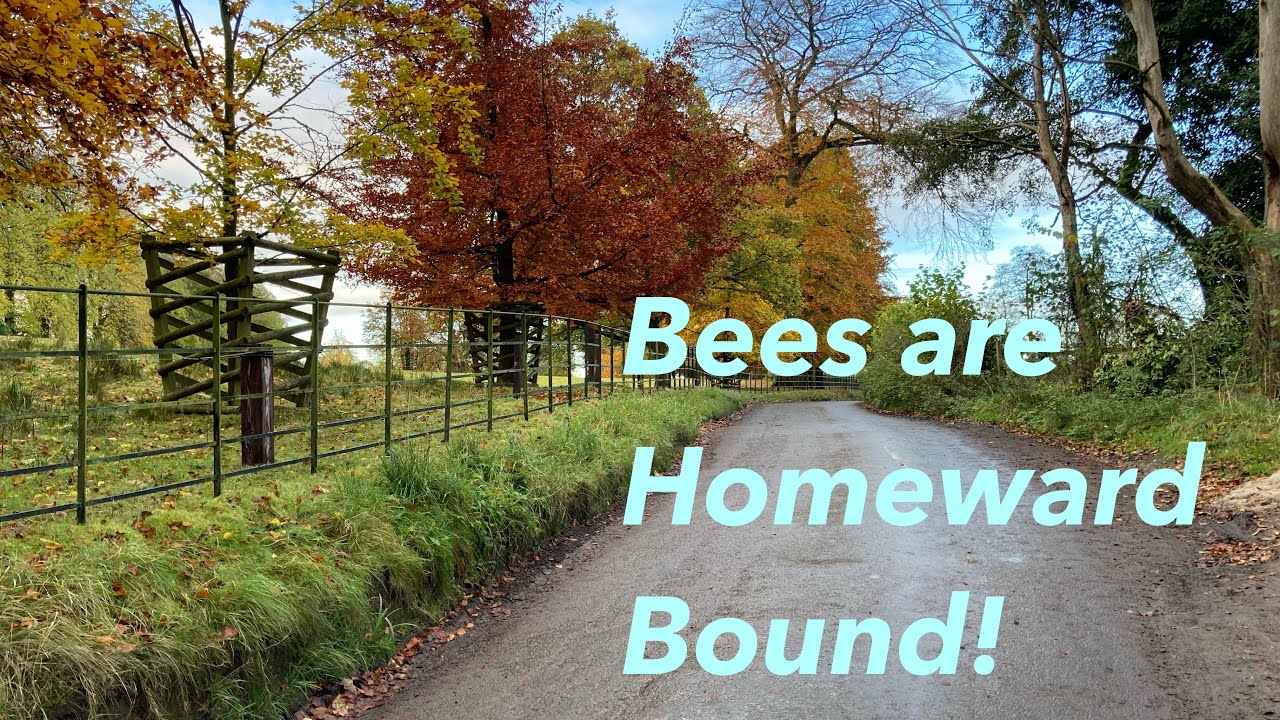 Swales Honey - Bees are Homeward Bound!