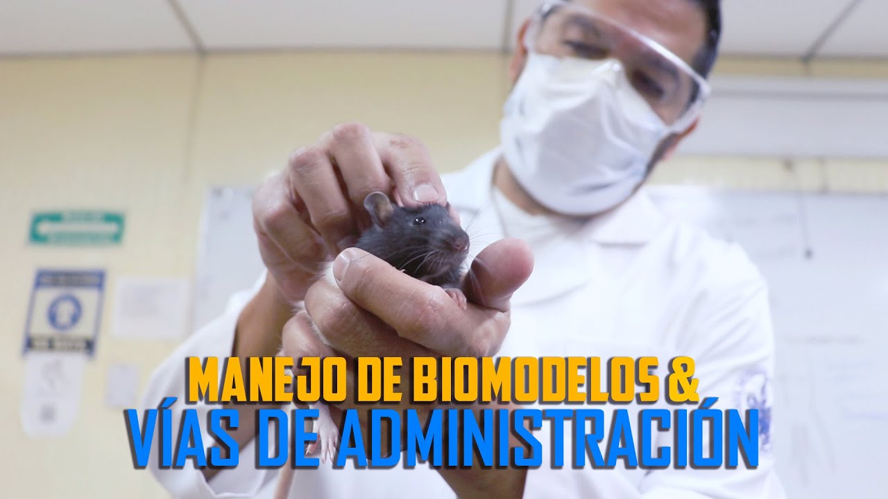 Manejo de Biomodelos & Vía de Administración | Práctica 3 | Laboratorio de Farmacología Básica