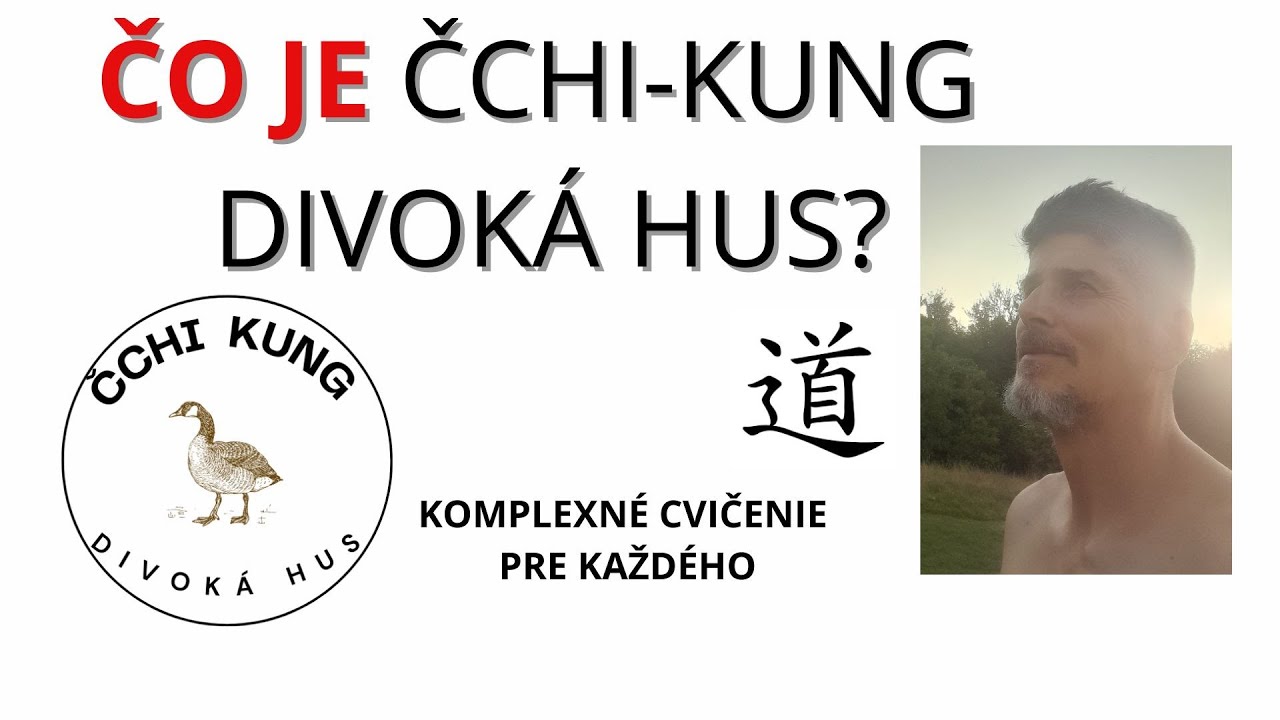 Čo je Čchi-Kung Divok&aacute; hus?