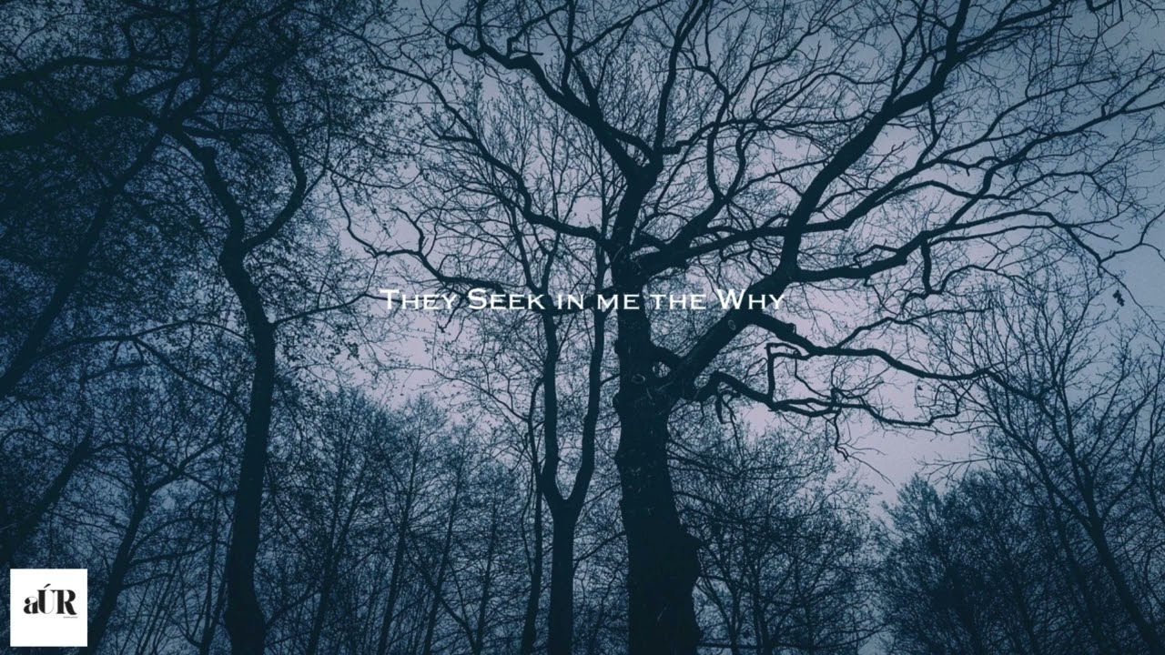 Ambient Relaxing and Emotional Piano #5 - They Seek in me the Why
