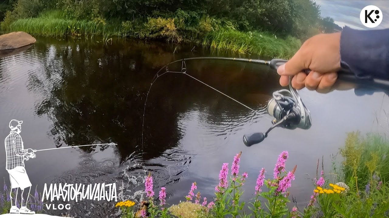 Hienoja PINTATÄRPPEJÄ poppereihin | Kalastetaan haukea puroista