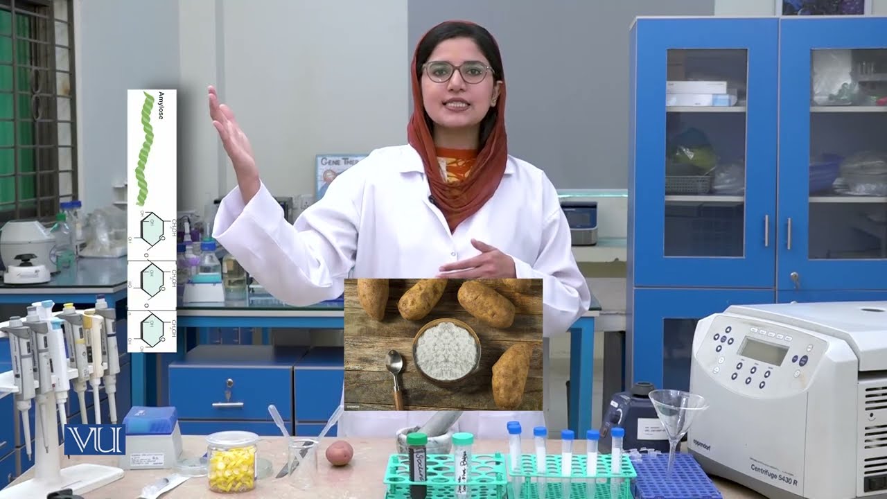Isolation of Amylose and Amylopectin from Starch | Biochemistry II | BIO506P_Topic005