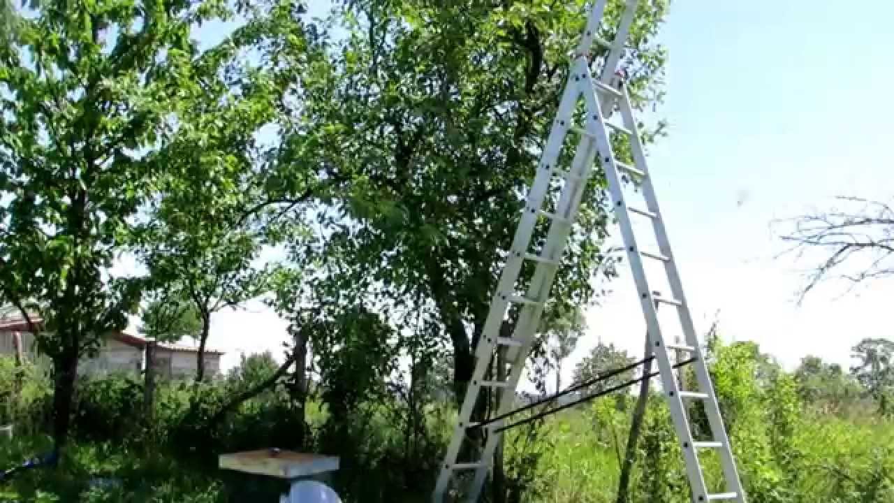 Palanka 21.5.2014 - Pčelarstvo - Hvatanje rojeva