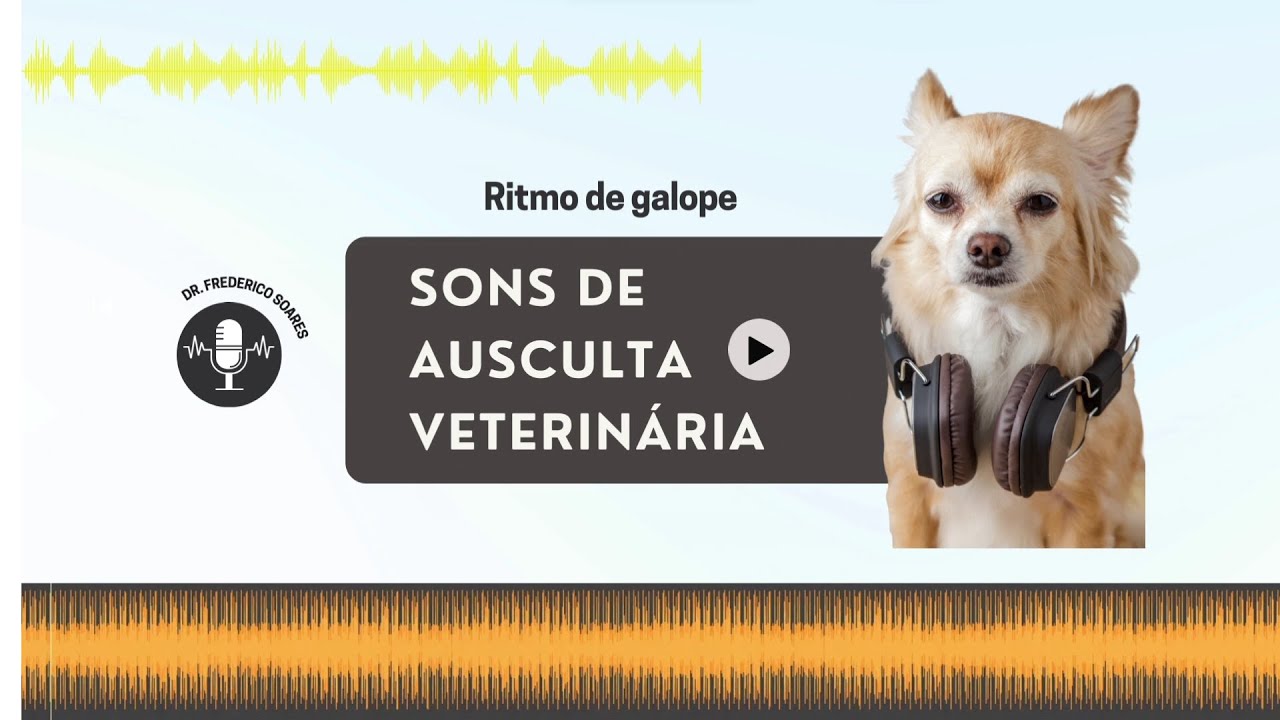 Ritmo de galope | EP. 7