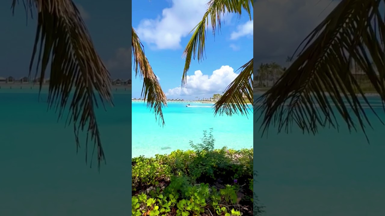 IMAM / Your inspiration #20 / #Maldives #motivation #Tiktok #Shorts #travel #imamotion