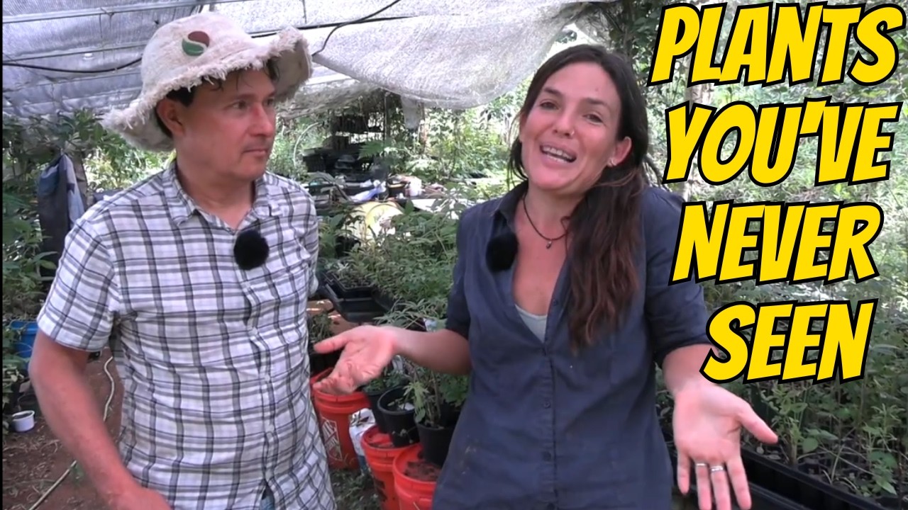 Tour a Tropical Off-Grid Nursery: Rare Crops You MUST Grow