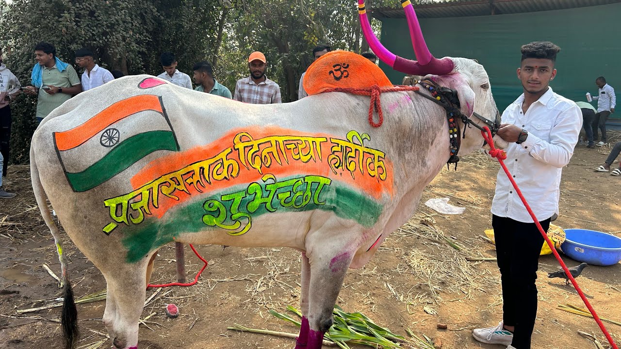 देसई सावली मैदानासाठी #सोन्या ५०५० सज्ज #🥰🥰🥰🥰