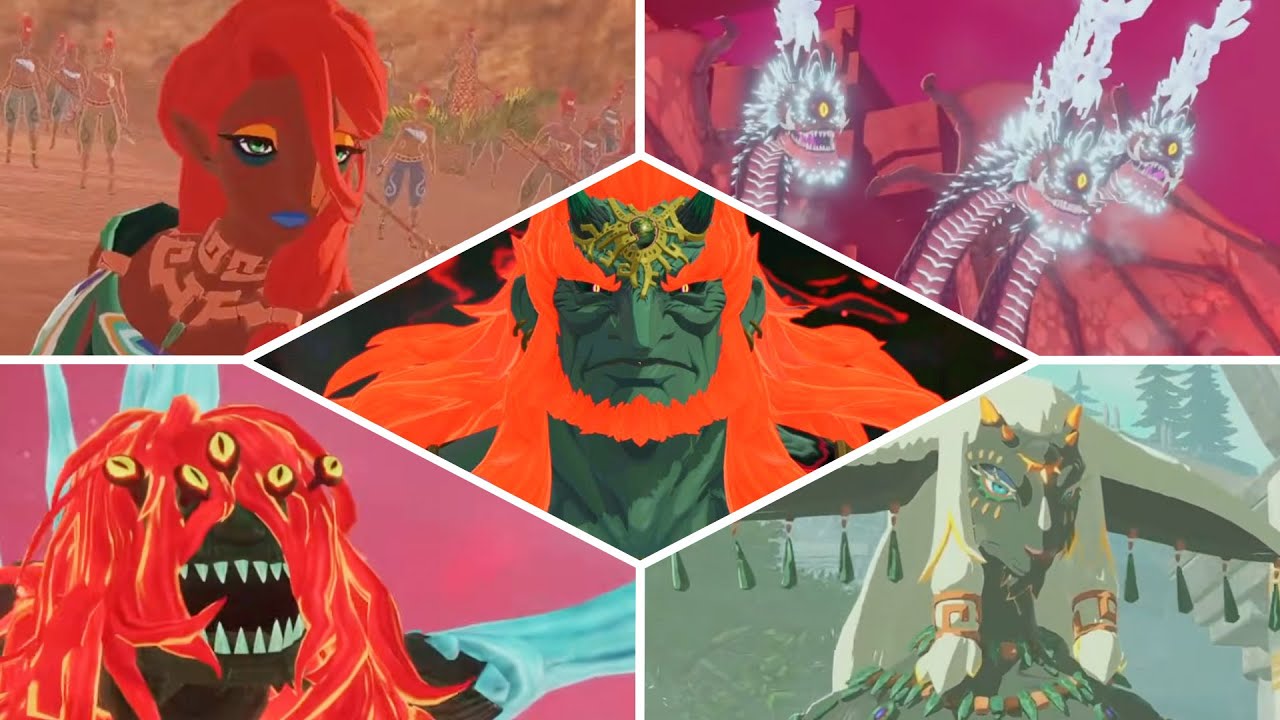 Hyrule Warriors: Age of Imprisonment - All Boss Battles (No Commentary)