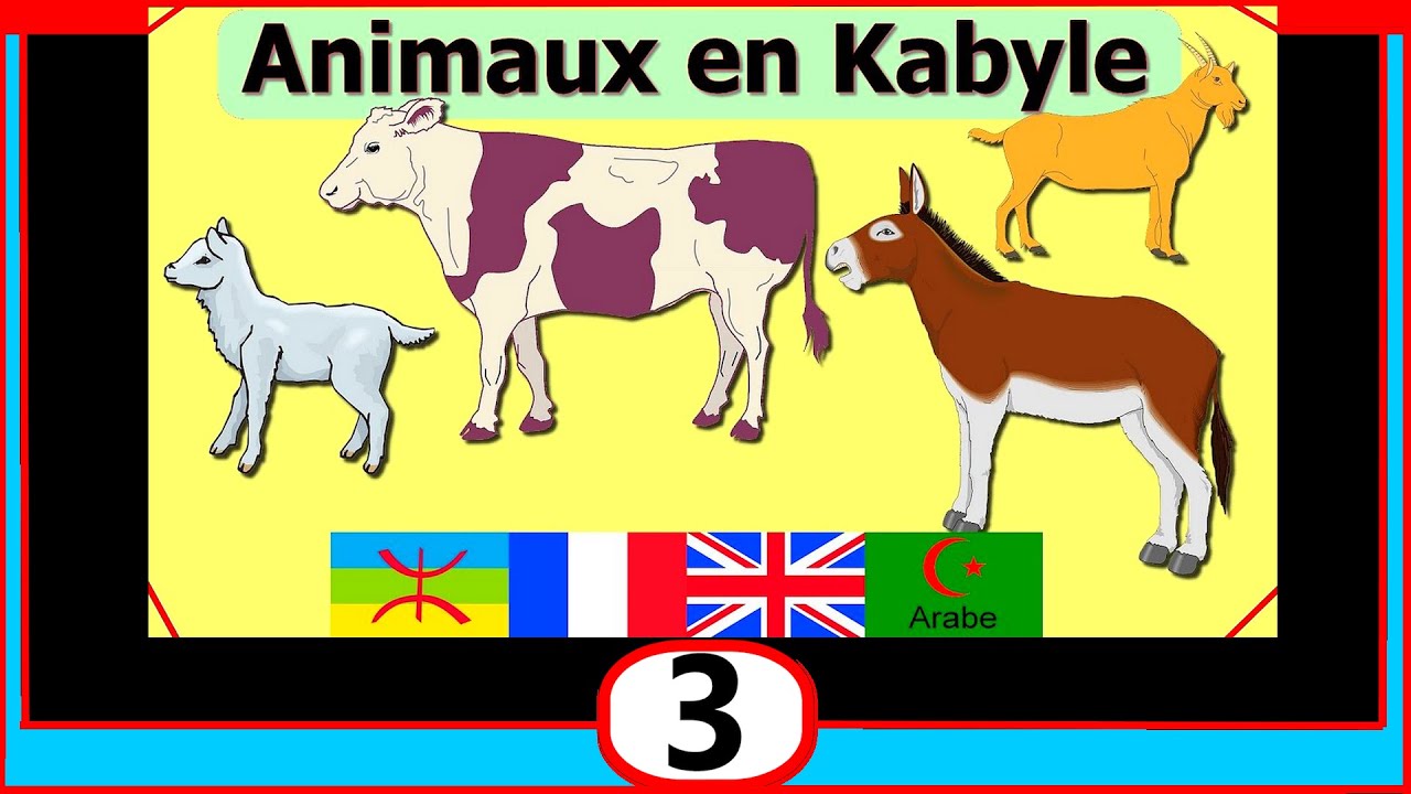 Animaux en kabyle français anglais arabe, vidéo 3