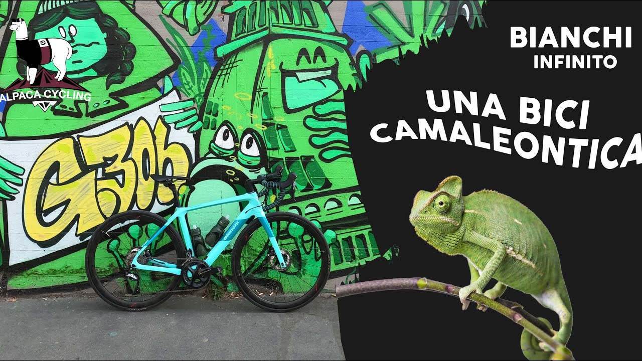 Bianchi Infinito CV Ultegra (2022) ... Come sul Velluto