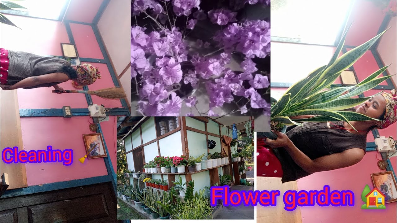 Cleaning 🧹 time 😲  Busy #villagevlog #flower garden 🏡 😱👹