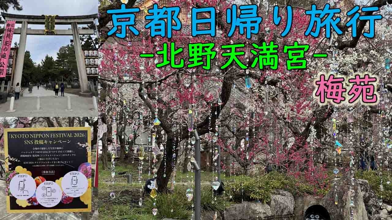 京都日帰り旅行 ~ 北野天満宮の梅苑 ~ に行ってきました