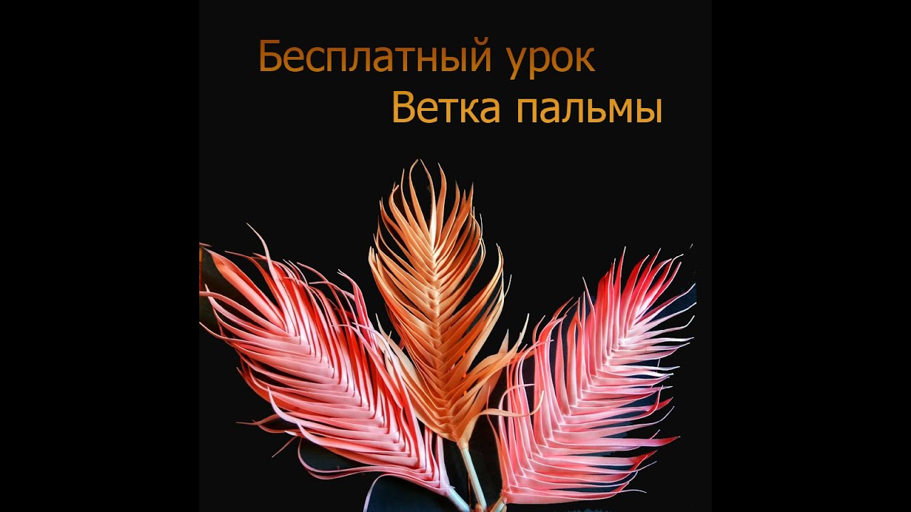 пальма