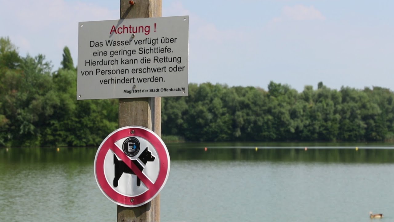 Immer mehr Blaualgen: Die Gefahr im Badesee