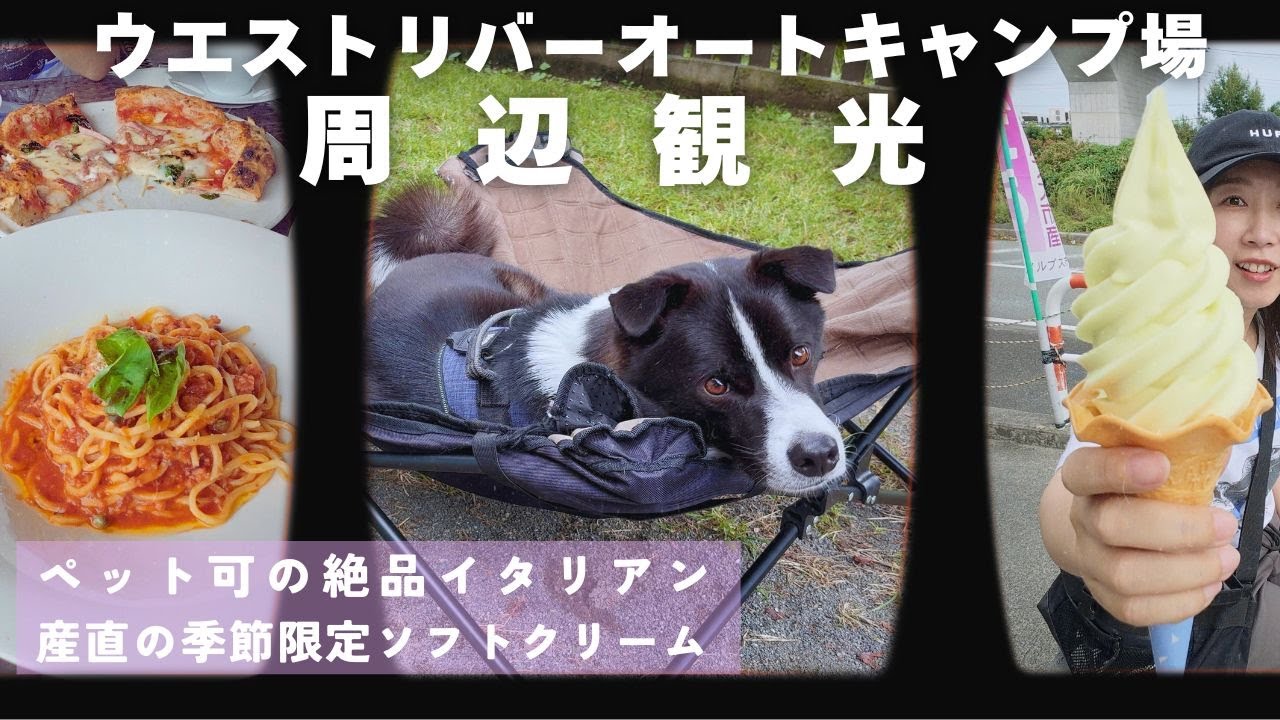 【ウエストリバー③】唯一無二のタコのラグーソース&コスパ抜群シャインマスカットソフト