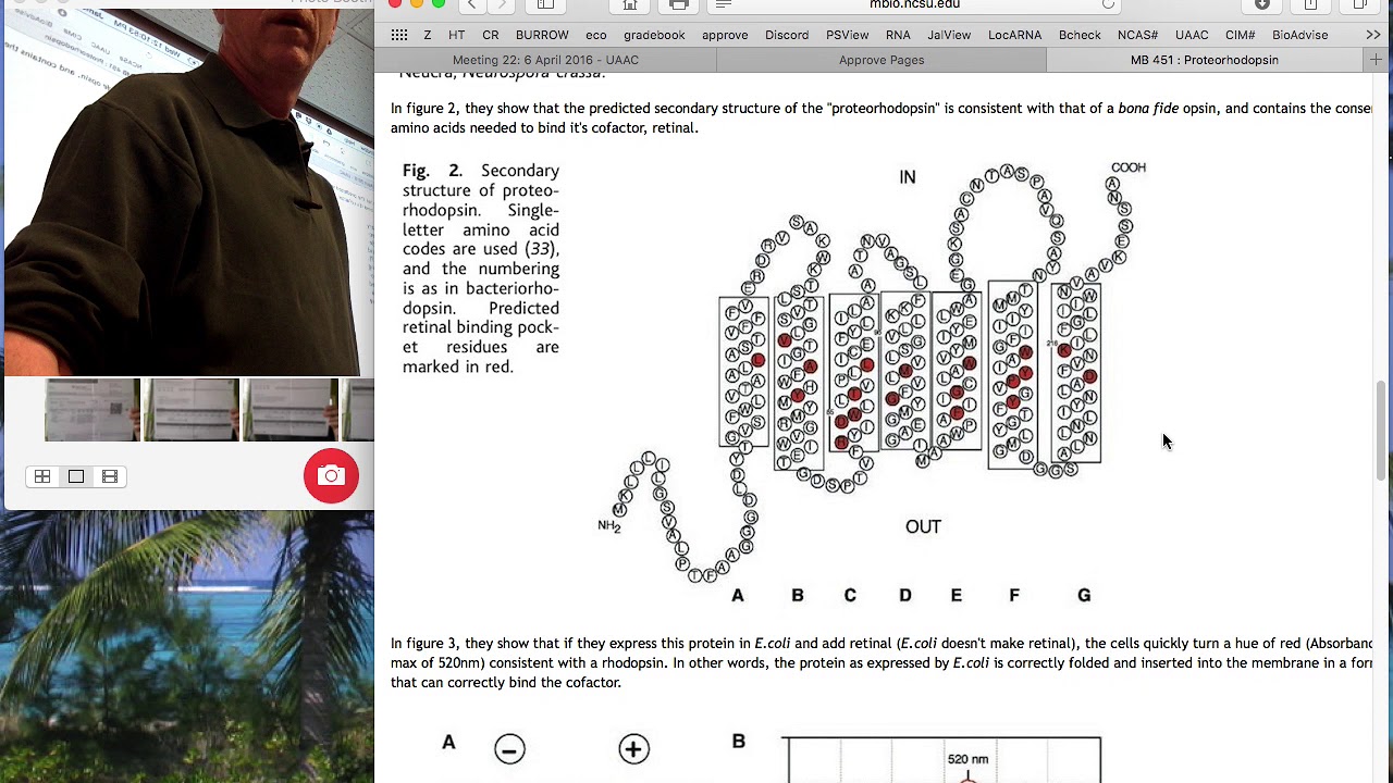 Beja et al - Proteorhodopsin paper