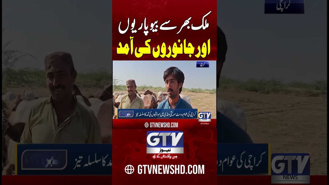 Northern Bypass Mandi Karachi Full Active #northernbypassmandi #karachimandi #shorts #gtvnews