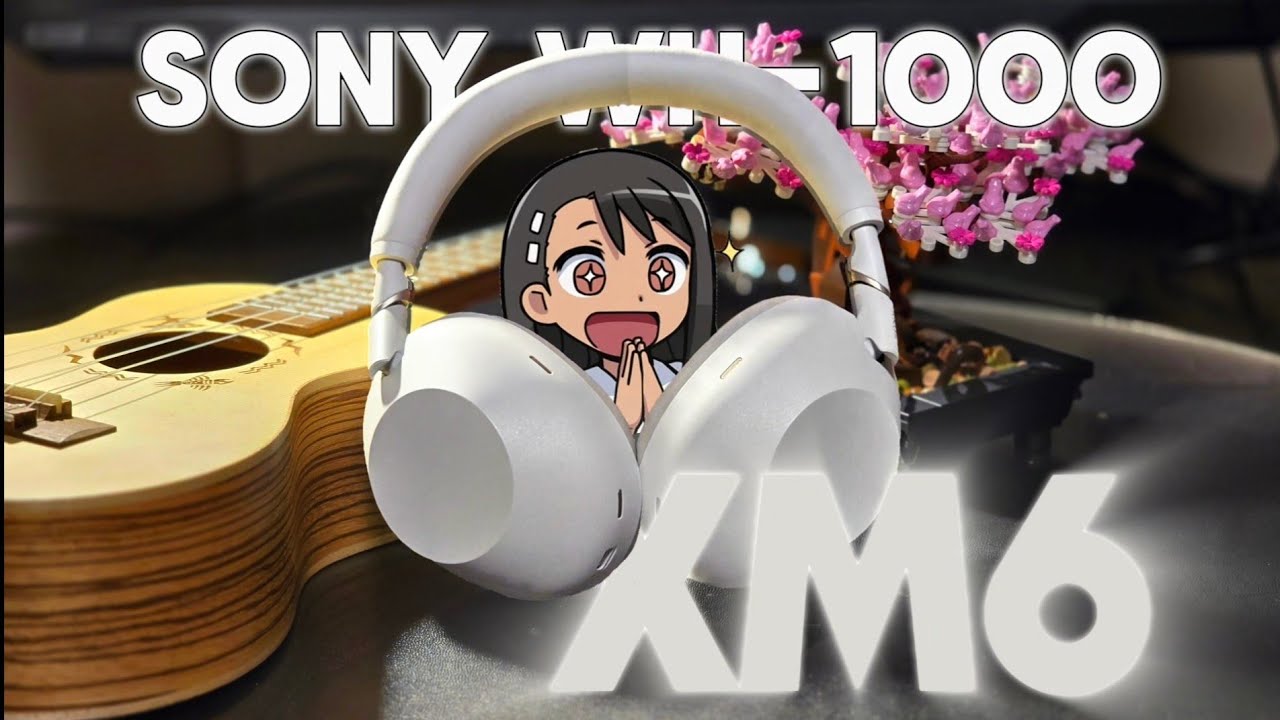Обзор Sony WH-1000XM6. Опыт использования