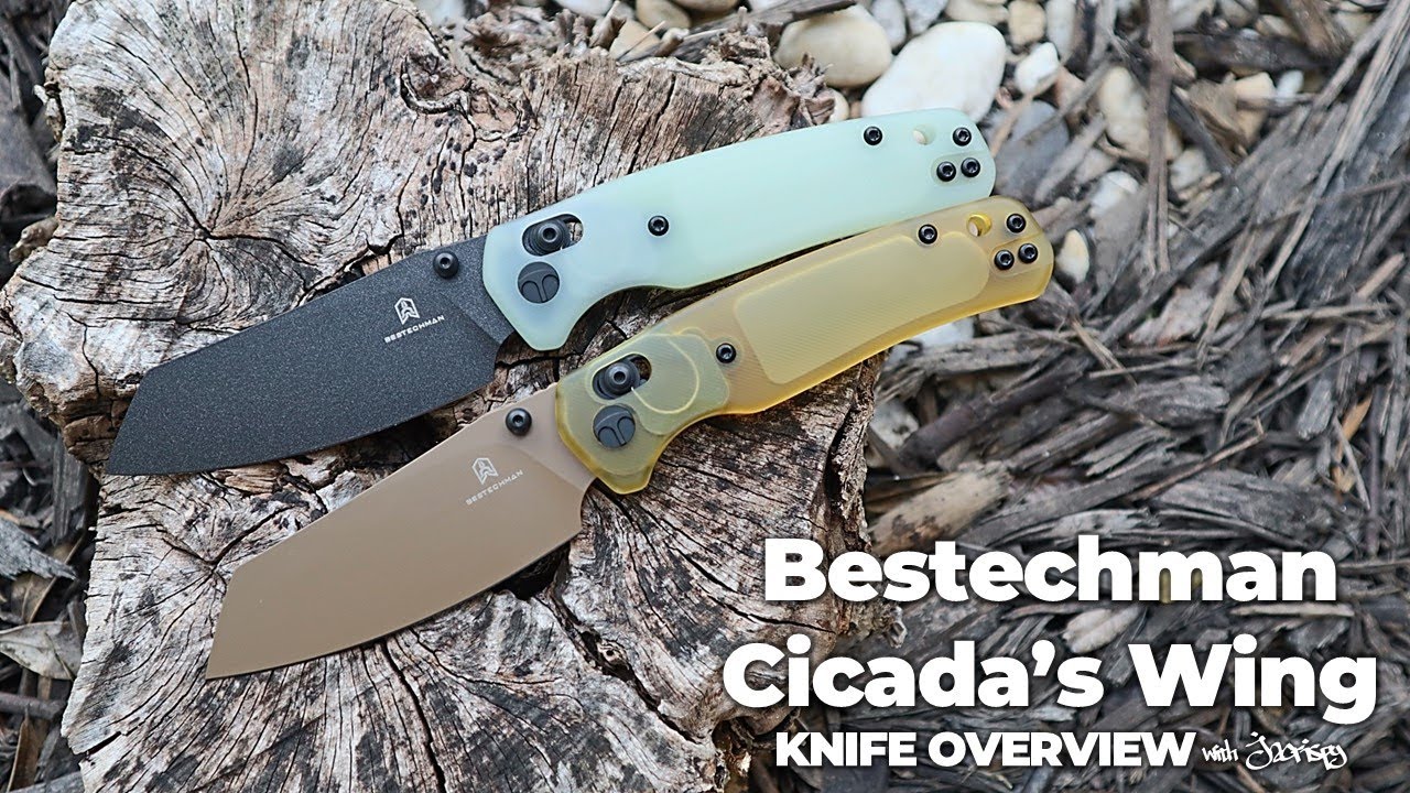 Bestechman Cicadas Wing Folding Knife 5-Minute Overview | Atlantic Knife