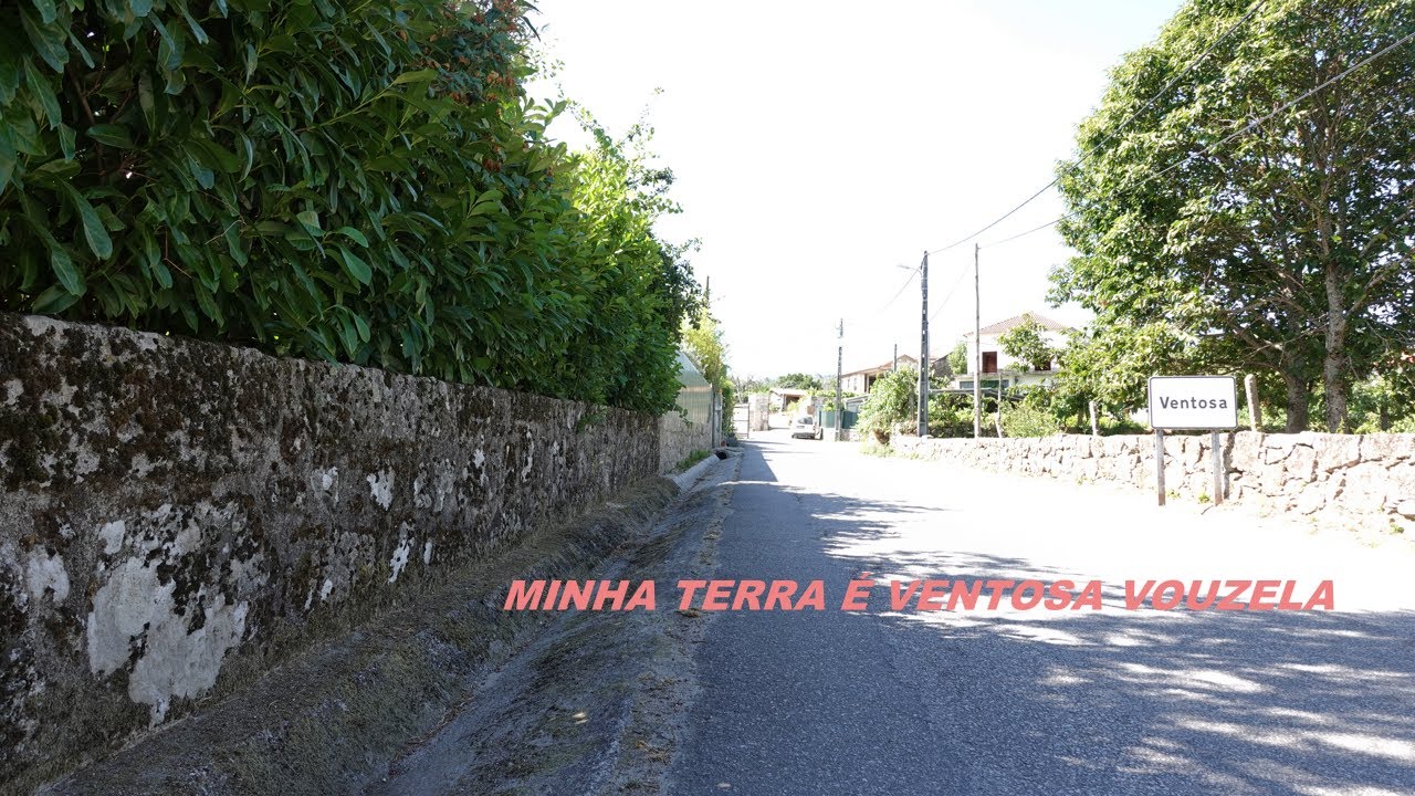 MINHA ALDEIA É VENTOSA VOUZELA