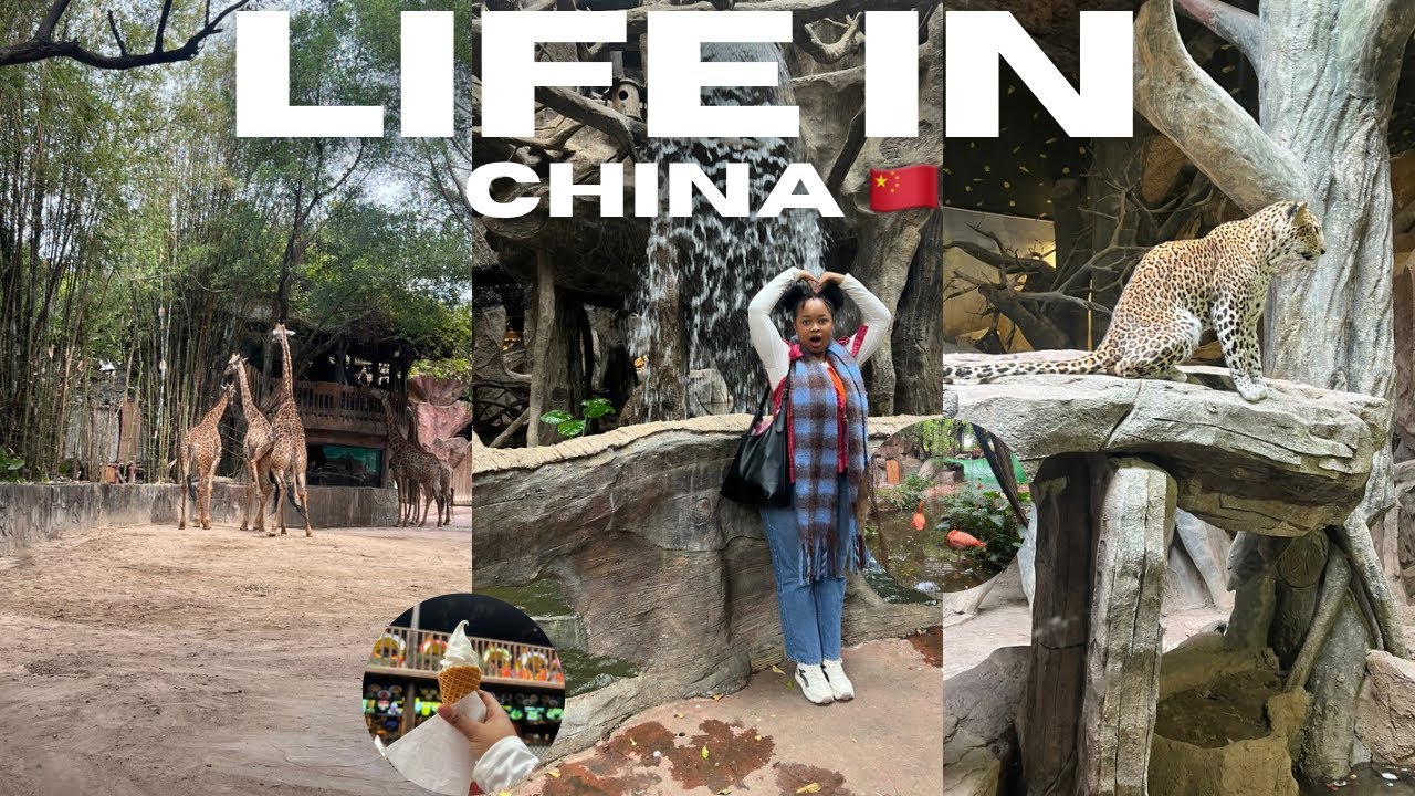 Days in my life working In China 🇨🇳 | School field trip ,📍Foshan Chuanlord 