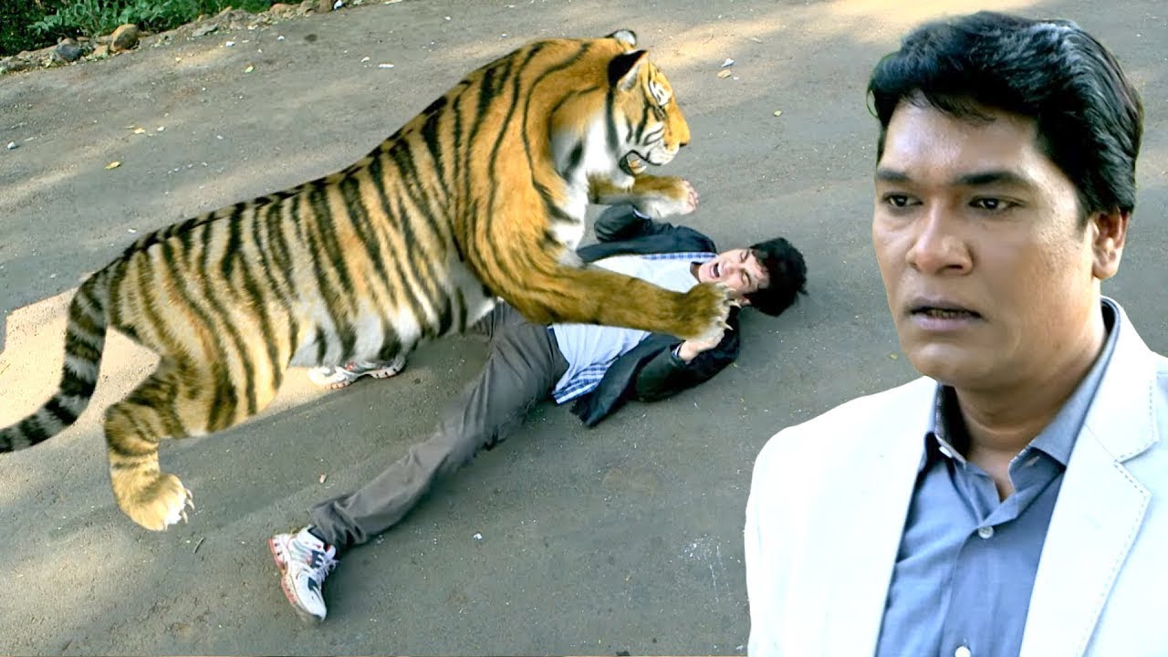 इंस्पेक्टर दया को दबोच लिया जंगल के खूंखार बाघ ने , क्या अभिजीत बचा पायेगा दया को ? Best Of CID 2026
