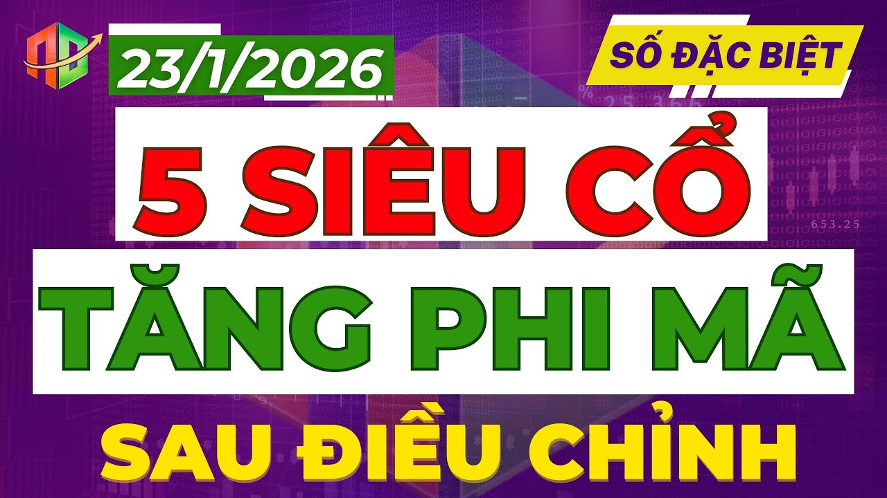 TOP 5 SIÊU CỔ PHIẾU TĂNG PHI MÃ!